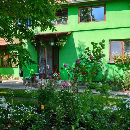 Csergo Ildiko Vendeghaz Hotell Lăzarea Exteriör bild