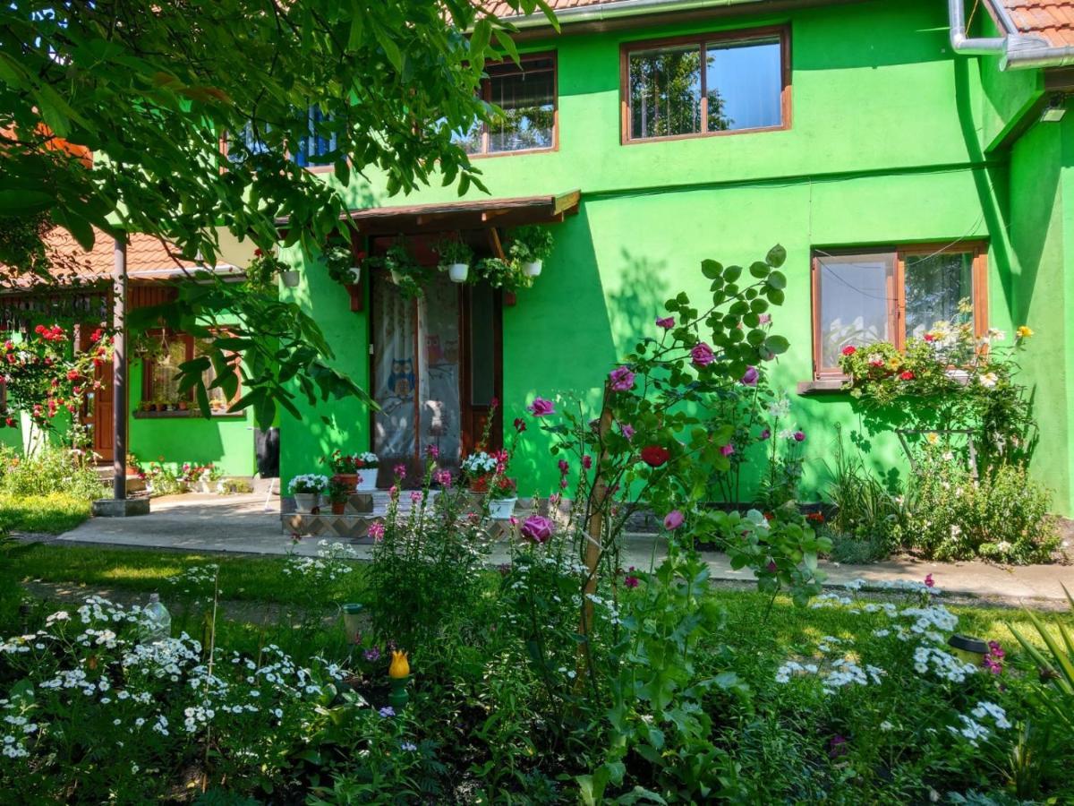Csergo Ildiko Vendeghaz Hotell Lăzarea Exteriör bild