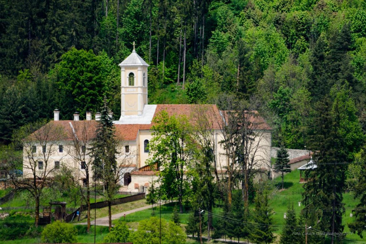 Csergo Ildiko Vendeghaz Hotell Lăzarea Exteriör bild